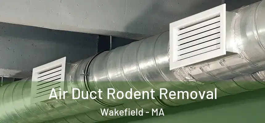  Air Duct Rodent Removal Wakefield - MA