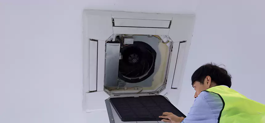Our Dryer Vent Sanitization Service Services in Wakefield, MA