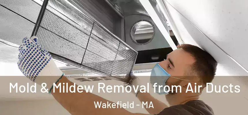  Mold & Mildew Removal from Air Ducts Wakefield - MA