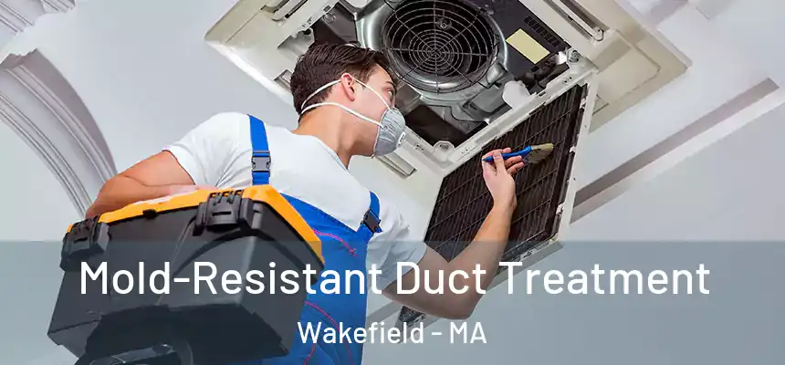  Mold-Resistant Duct Treatment Wakefield - MA
