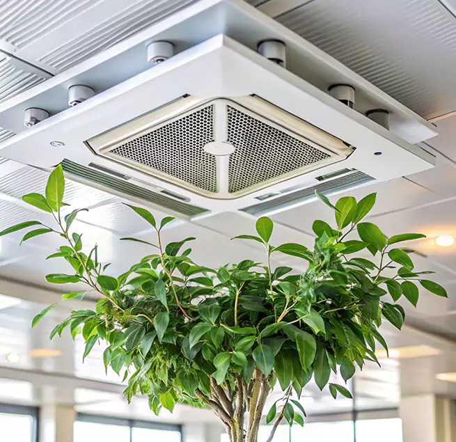 Why Homeowners & Businesses Trust Us in Wakefield, MA?